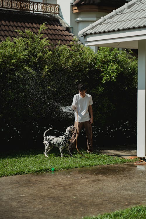 Man spoelt zijn hond af met een tuinslang na een wandeling bij het water