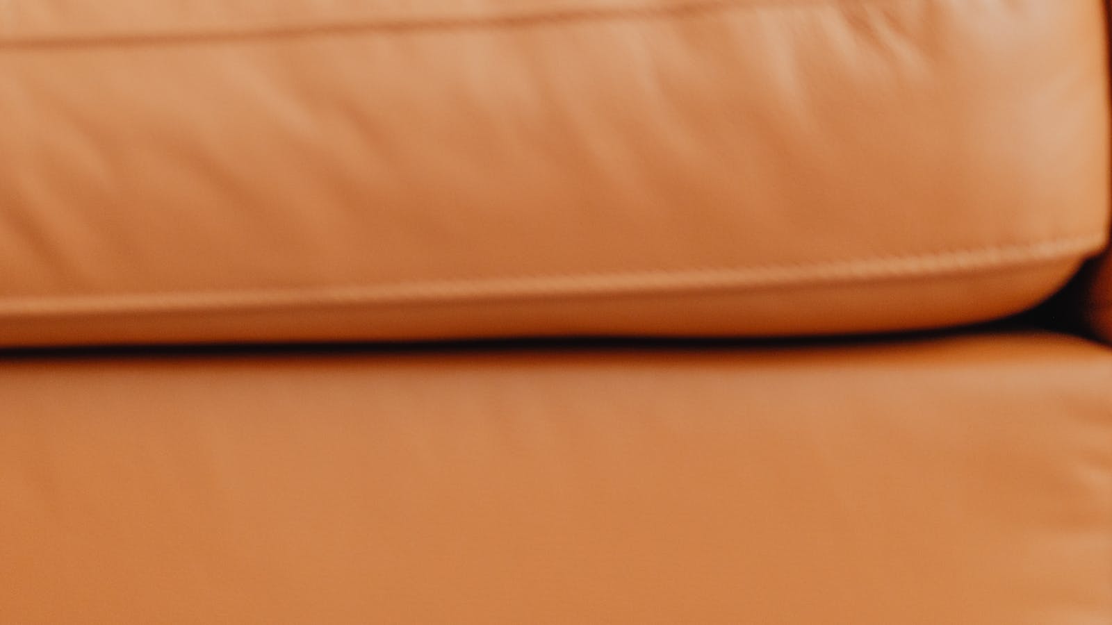 Kleine hond verstopt zich onder de bank uit angst voor harde geluiden